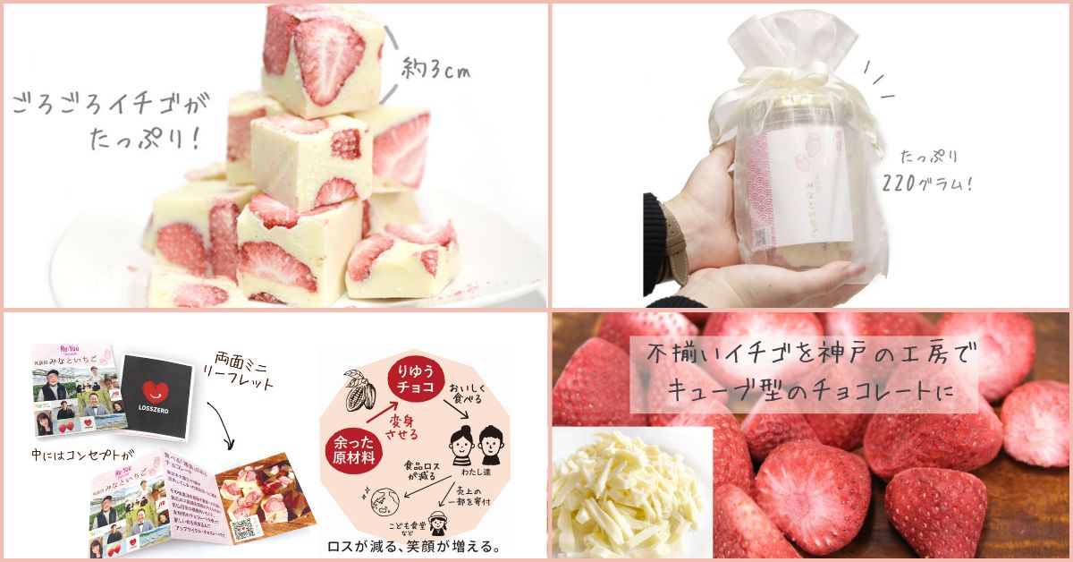 返礼品みなといちごの内容