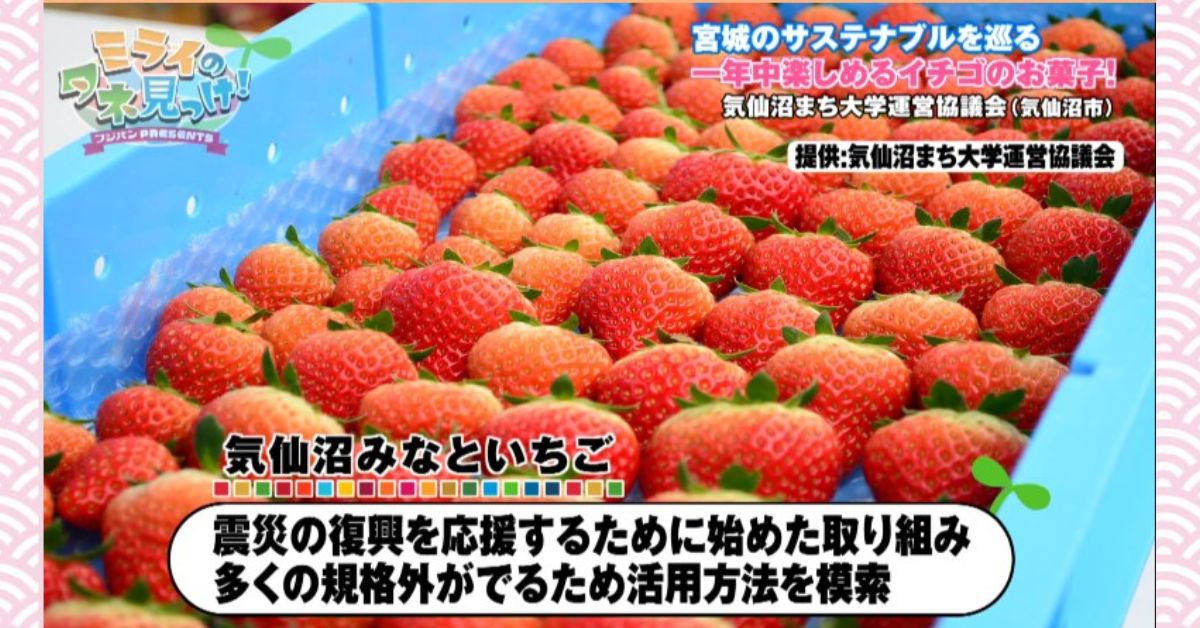 並べられた気仙沼のいちご（番組画像キャプチャ）
